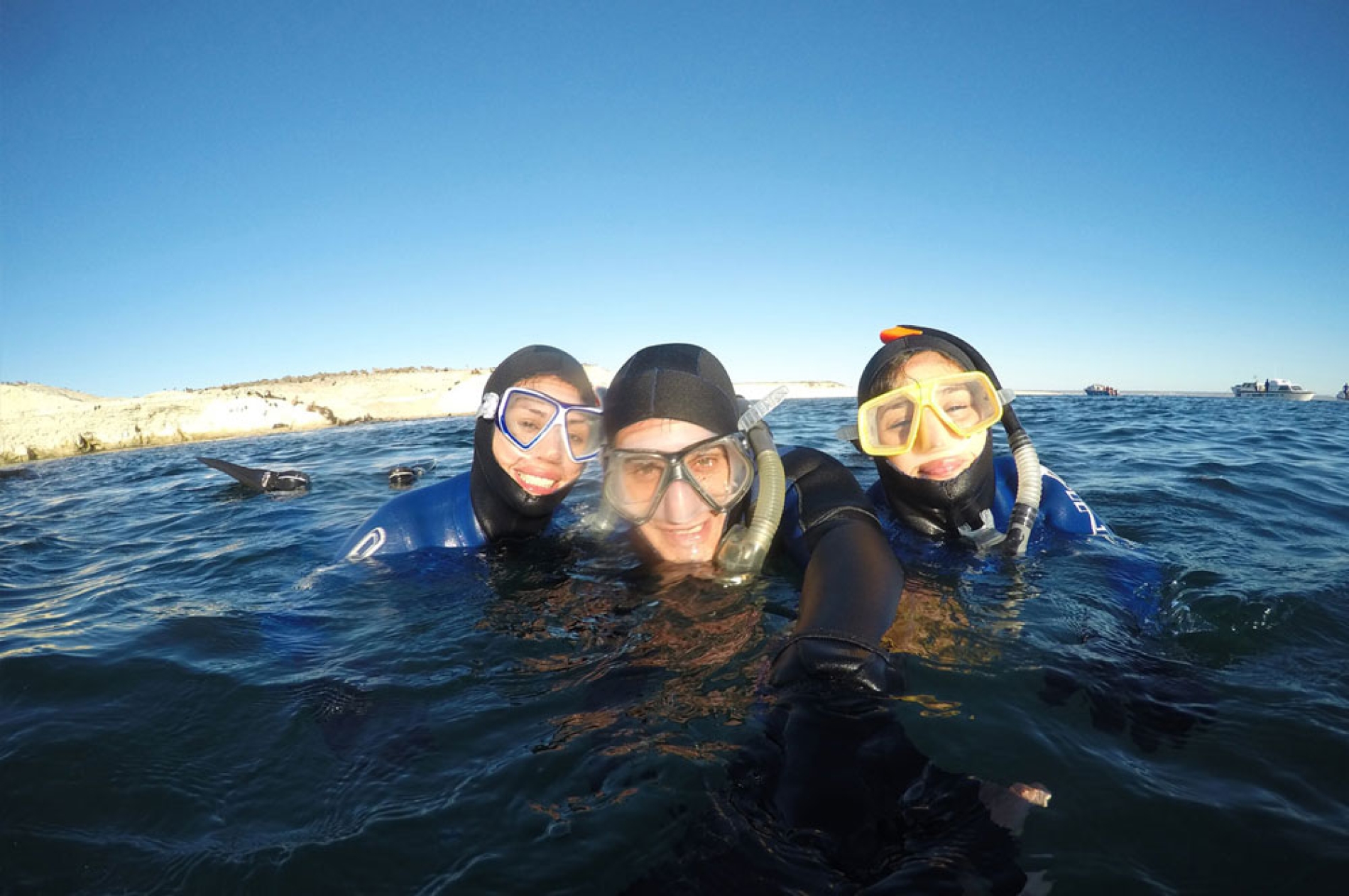 Snorkeling con Lobos Marinos